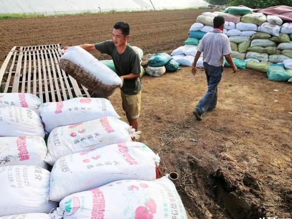 农民一定要重视“有机肥”的投入，不要问为什么，自己看吧