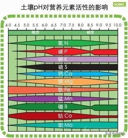 农民一定要重视“有机肥”的投入，不要问为什么，自己看吧